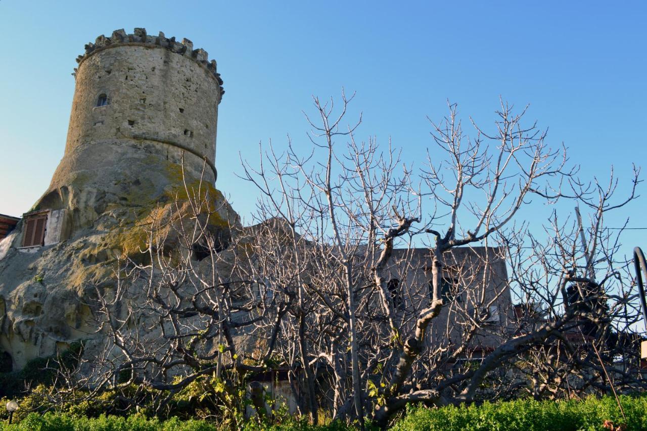 L'Agrumeto Forio di Ischia Extérieur photo